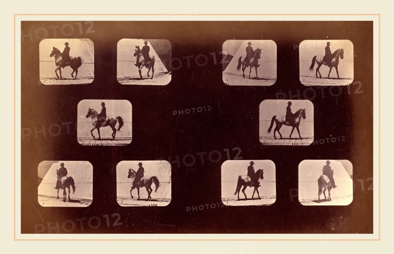 Eadweard Muybridge, American (born England, 1830-1904), Illustrations of the Paces Walking, Plate LX, 1878-79, albumen print, published 1881