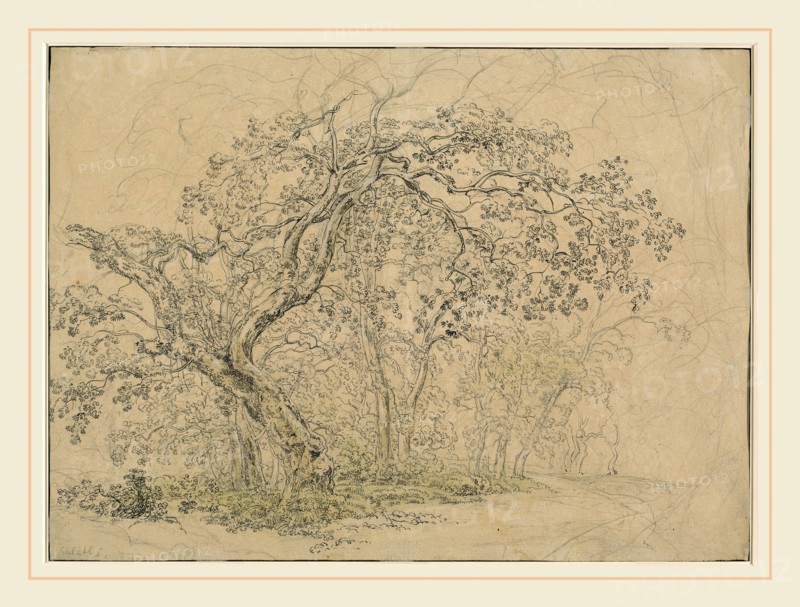 Friedrich Salathé, Swiss (1793-1858), Grove of Trees [verso], c. 1835, pen and black ink over graphite on wove paper