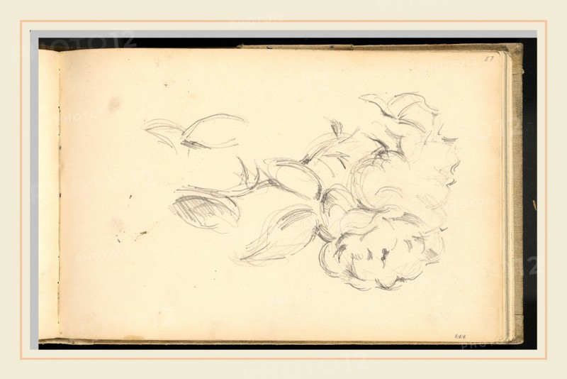 Paul Cézanne, Peonies, French, 1839-1906, 1890-1893, graphite on wove paper