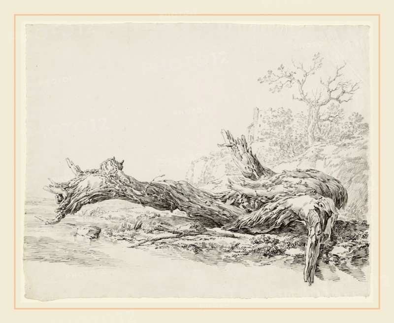 Jean-Antoine Constantin, French (1756-1844), An Ancient Tree Fallen Beside a Stream, c. 1814, pen and black and gray ink over black chalk on laid paper