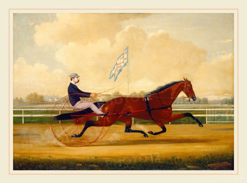 Charles S. Humphreys, Budd Doble Driving Goldsmith Maid at Belmont Driving Park, American, 1818-1880, 1876, oil on canvas