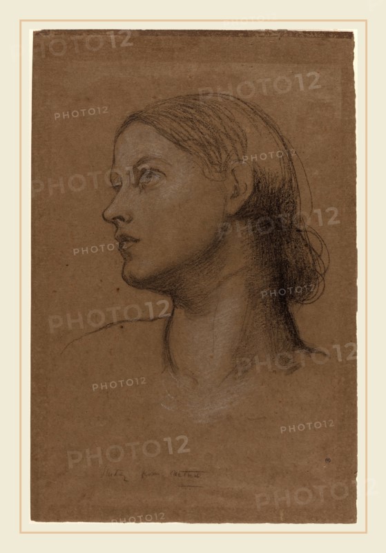 George Frederic Watts, British (1817-1904), Head of a Young Woman, 1860s, black chalk heightened with white on brown wove paper