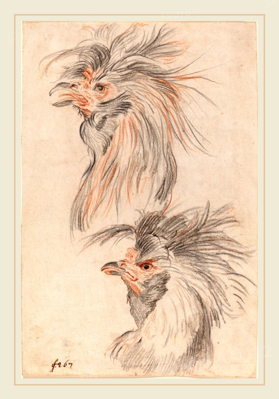 Johann Rudolph Schellenberg, Swiss (1740-1806), Fighting Cock, c. 1775, red and black chalk on laid paper