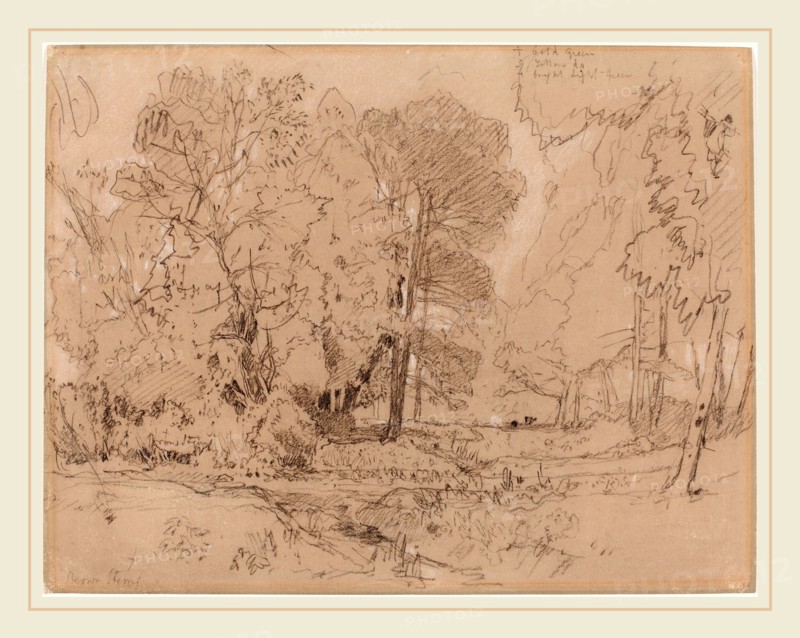John Sell Cotman, British (1782-1842), Wooded Landscape, probably 1841, black chalk heightened with white on brown wove paper