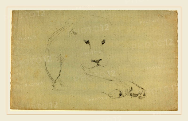 John Flaxman, British (1755-1826), Lion, graphite