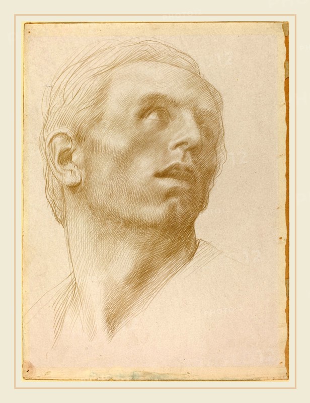 Alphonse Legros, Head of a Man Looking Up to the Right, French, 1837-1911, metalpoint on prepared paper
