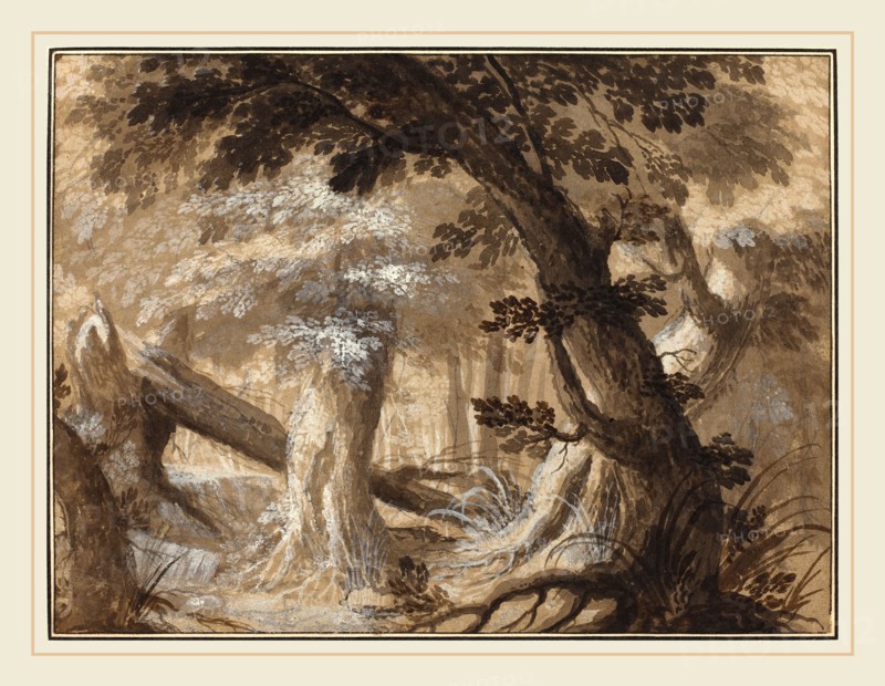 Flemish 17th century, Forest Interior, c. 1610, pen and brown ink and wash over graphite with white heightening on laid paper