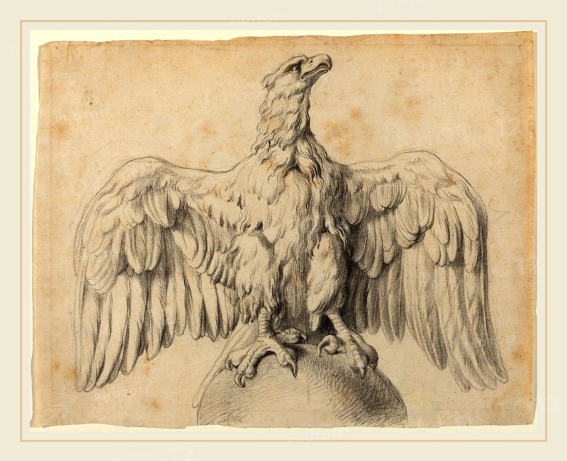 Sir Peter Paul Rubens, Flemish (1577-1640), The Capitoline Eagle, c. 1601-1602, black chalk on laid paper