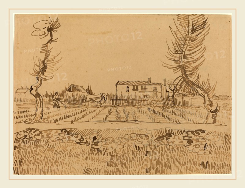 Vincent van Gogh, Dutch (1853-1890), Ploughman in the Fields near Arles, 1888, reed pen and brown ink over graphite on wove paper