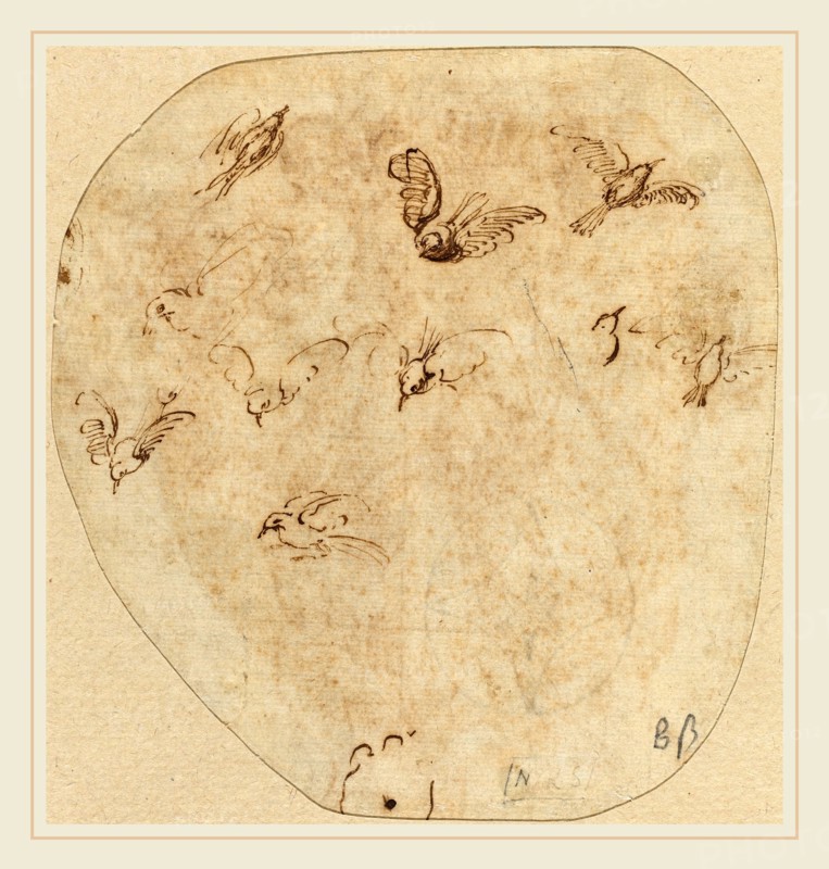 Attributed to Girolamo Mazzola Bedoli, Italian (c. 1500-1569), Birds in Flight [verso], pen and brown ink on laid paper