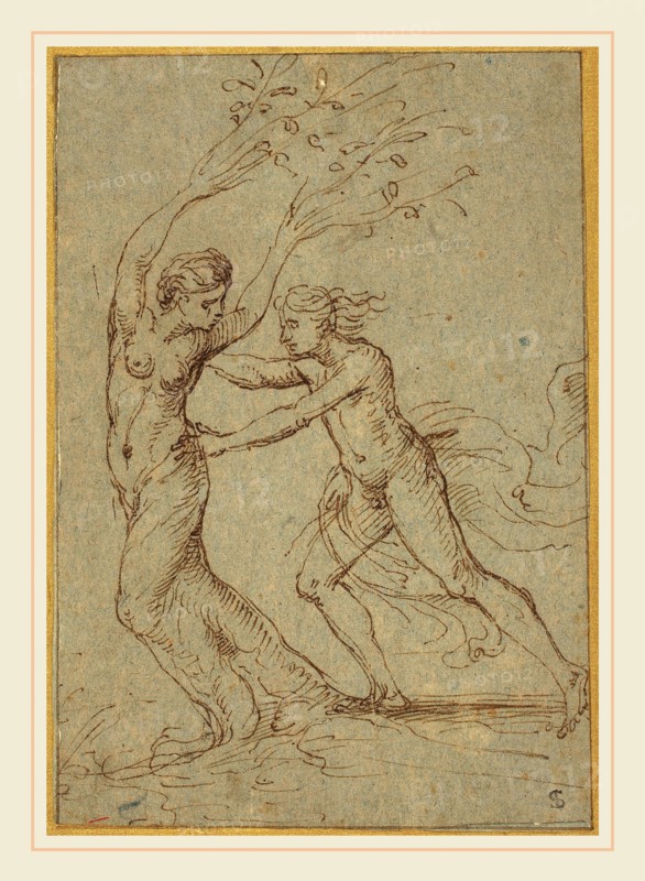 Giulio Romano, Italian (1499-1546), Apollo and Daphne, pen and brown ink on blue-gray laid paper