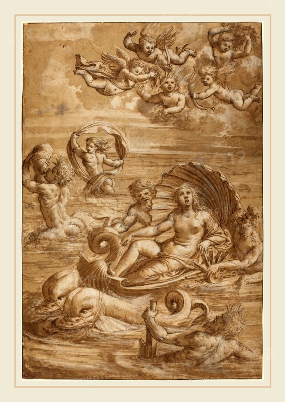 Girolamo Pennacchi, Italian (1497-1544), The Triumph of Galatea, c. 1535, pen and brown ink with brown wash,  heightened with white, over black chalk
