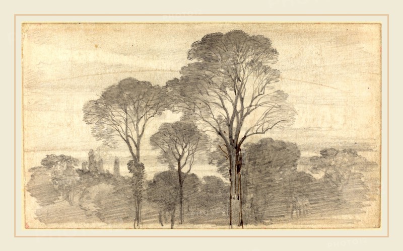 Myles Birket Foster, British (1825-1899), An Evening Landscape with Tall Trees, graphite with pen and brown ink on wove paper