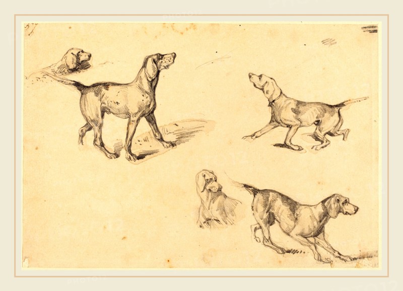 Richard Parkes Bonington, British (1802-1828), Five Studies of Hunting Dogs, graphite with touches of gray wash on wove paper