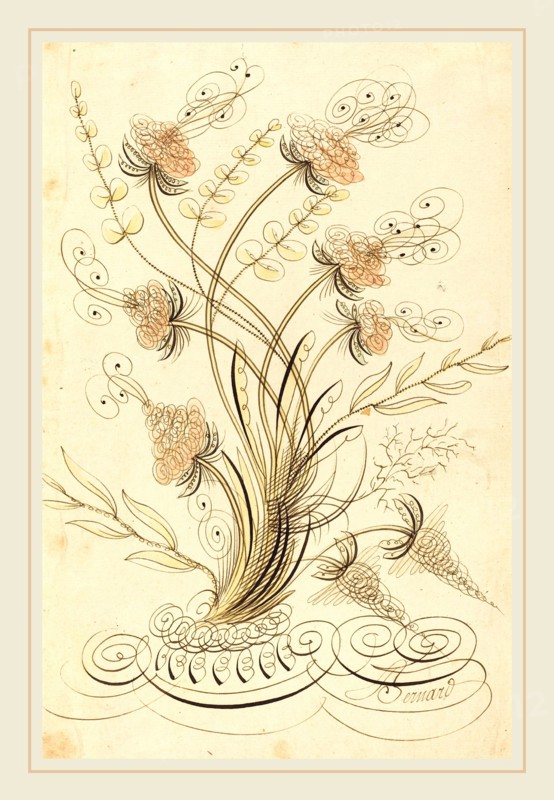Jean-Joseph Bernard called Bernard de Paris, French (1740-1809), Calligraphic Flowers, pen and brown and iron gall ink with watercolor on laid paper