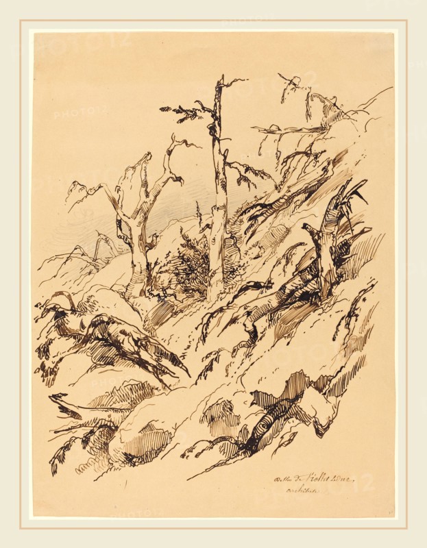 Adolphe Etienne Viollet-Le-Duc II, French (1817-1878), A Tree and Rocks, pen and iron gall ink,with graphite on wove paper