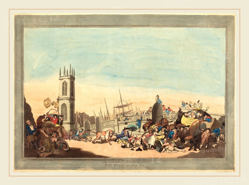 Thomas Rowlandson, British (1756-1827), The Overdrove Ox, 1787, hand-colored etching and aquatint