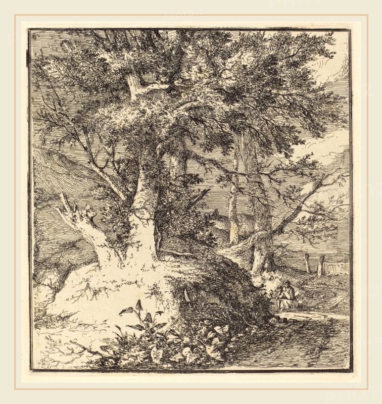 John Crome, British (1768-1821), Tree on a Mound, etching on chine applique