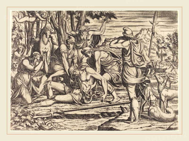 Léon Davent after Luca Penni (French (?), active 1540-1556), The Death of Adonis, etching