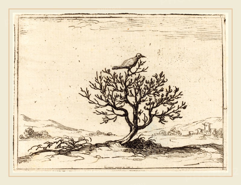 Jacques Callot, French (1592-1635), Nightingale in a Bush, 1628, etching