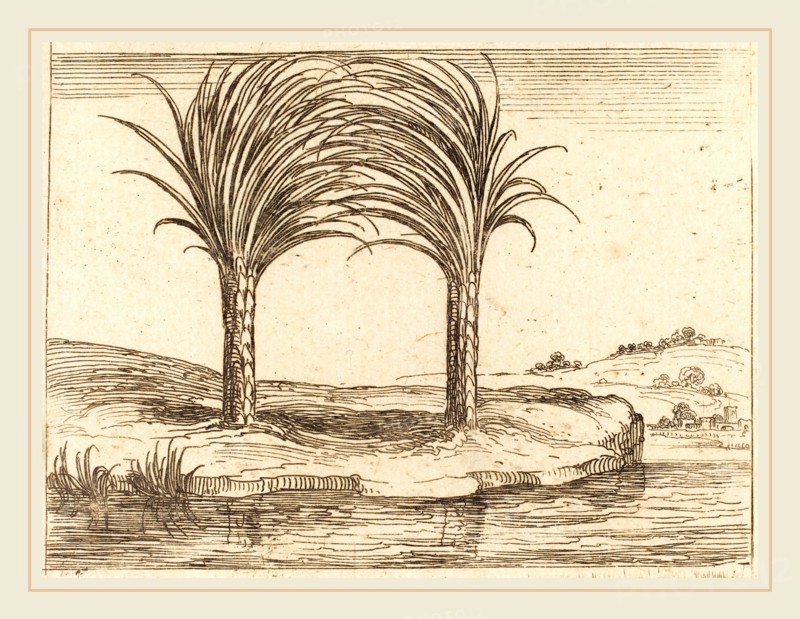 Jacques Callot, French (1592-1635), Two Palm Trees, etching
