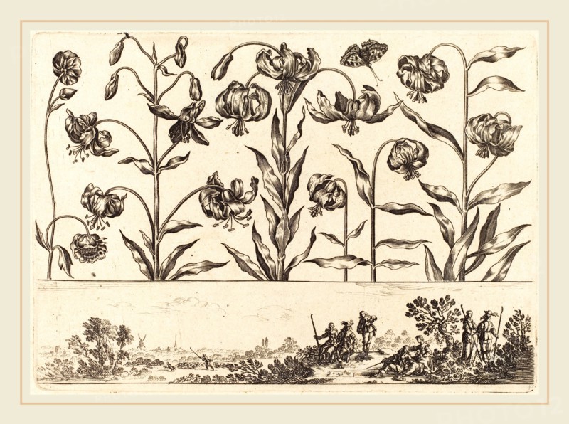 Nicolas Cochin after Balthasar Moncornet, French (1610-1686), Flower Print no.5, 1645, etching