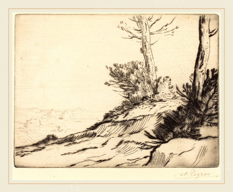 Alphonse Legros, Hill with Bushes (La butte aux brousailles), French, 1837-1911, etching and drypoint