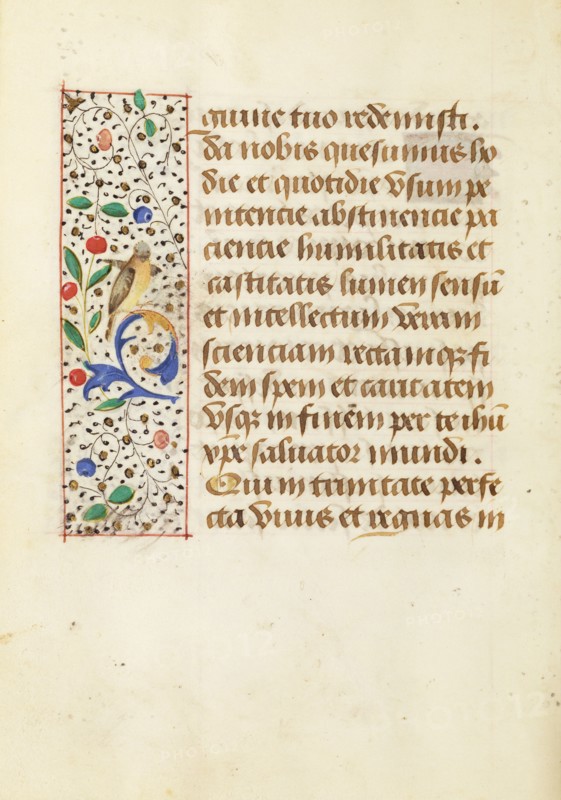 Decorated Text Page