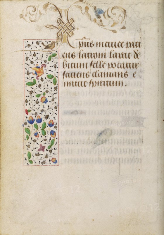 Decorated Text Page