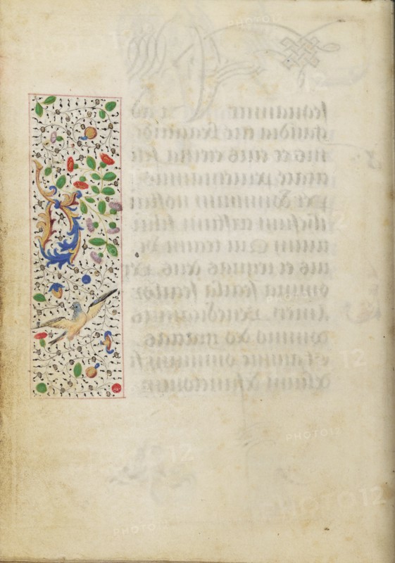 Decorated Text Page
