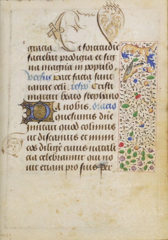 Decorated Text Page