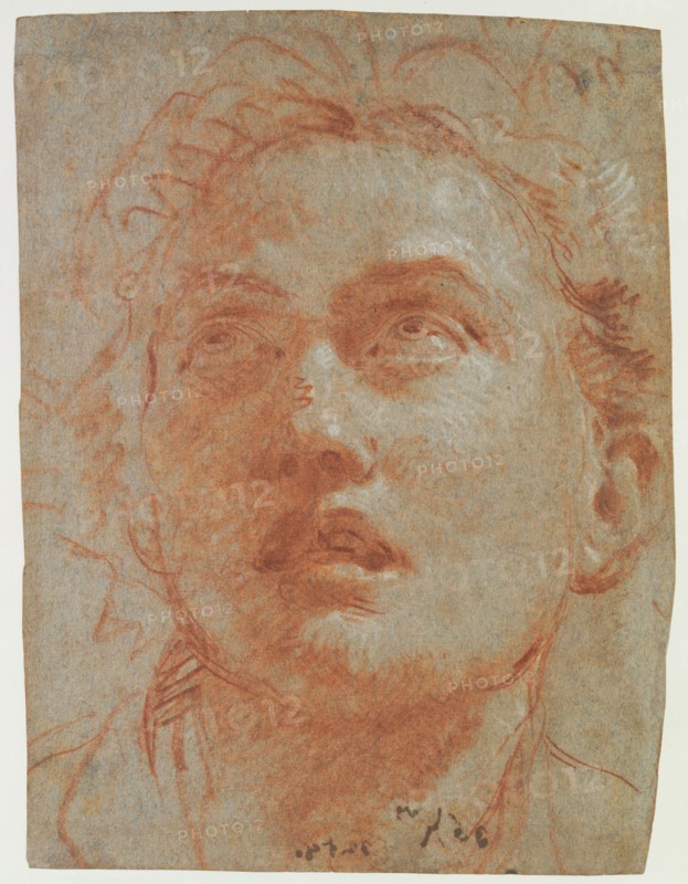 Head of a Man Looking Up