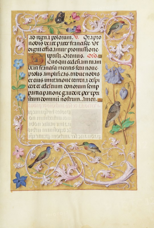 Decorated Text Page