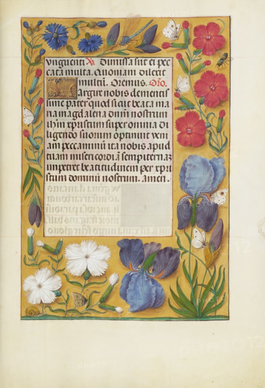 Decorated Text Page