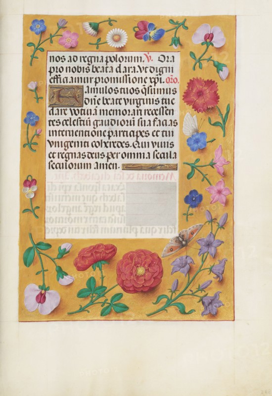 Decorated Text Page
