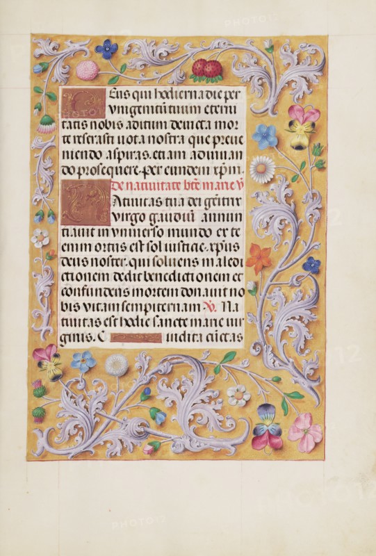 Decorated Text Page