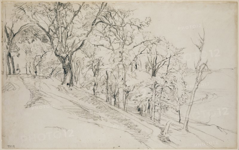Forest in Boisrémond (recto),  Cottage in a Forest (verso)