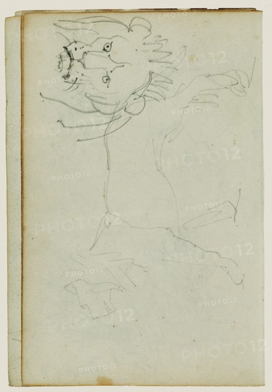 Lion walking, face of lion