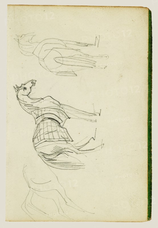 Three horse studies