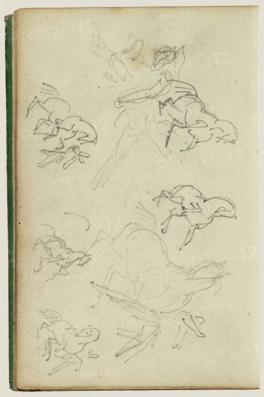 Six studies for man beside a rearing horse
