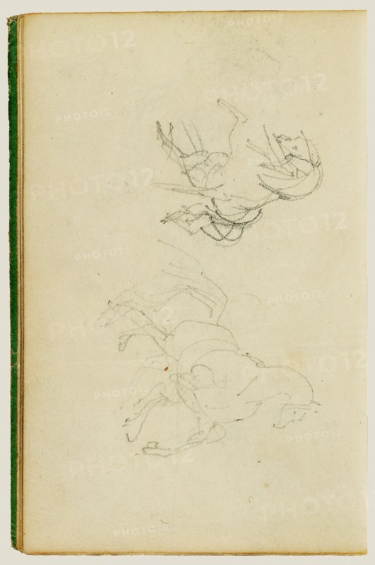 Two studies of a rearing horse