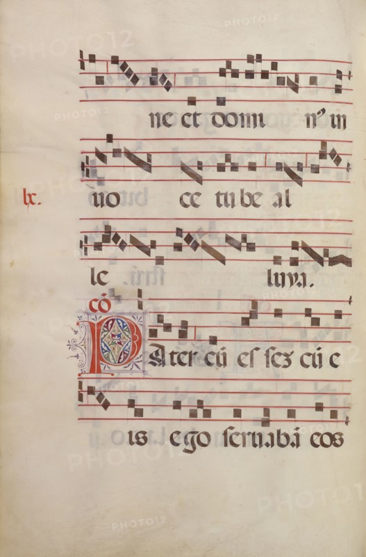 Decorated Initial P