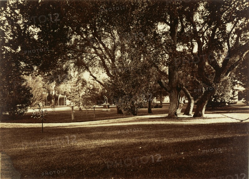 [Thurlow Lodge - Lawn View]