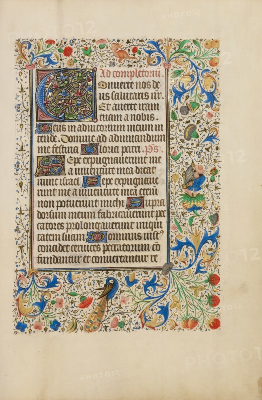Decorated Text Page