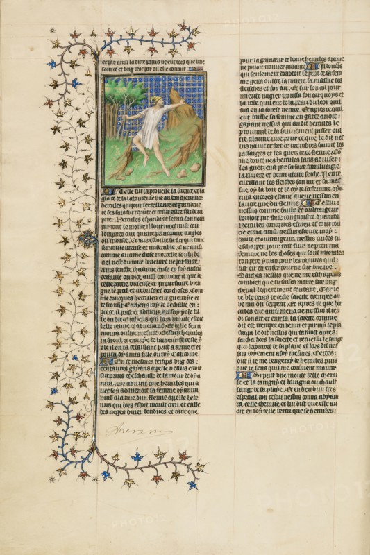 Hercules Poisoned by the Shirt of Nessus