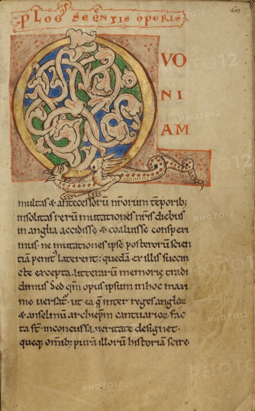 Inhabited Initial Q