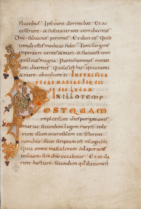 Decorated Initial P