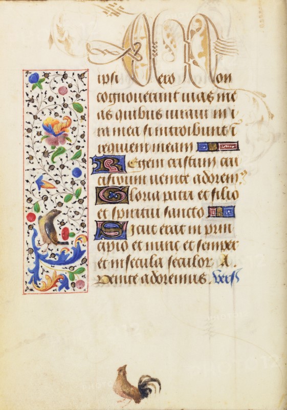Decorated Text Page