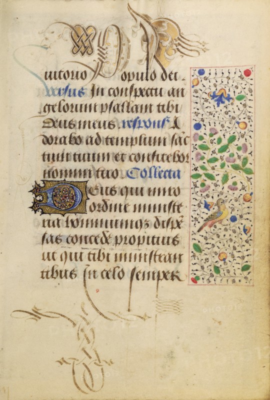 Decorated Text Page