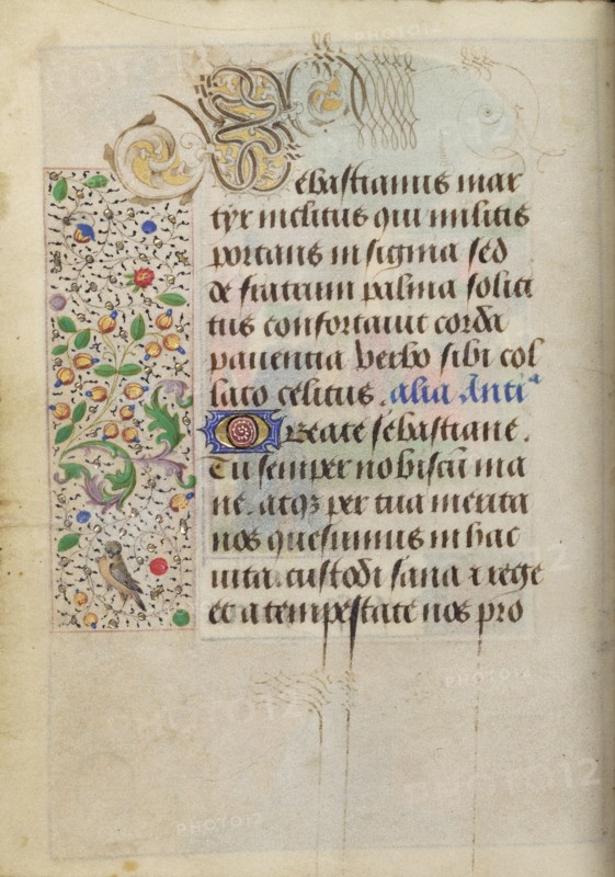 Decorated Text Page